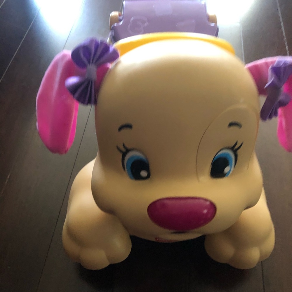 *SOLD* Ride on/walk behind dog